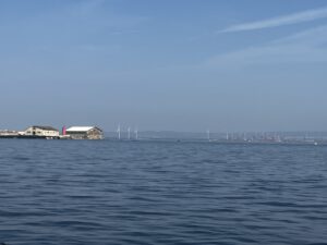 The Gulf of Taranto - home to dolphins and wind turbines